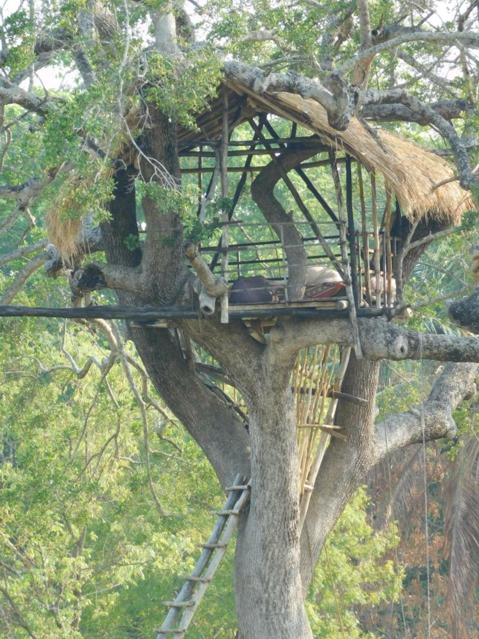Galapita Eco Lodge Buttala Exterior photo